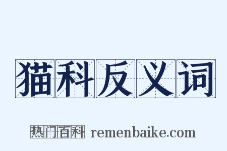 猫科反义词是什么意思的图片